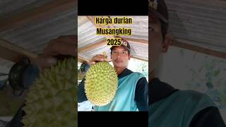 Download lagu Price of #durianmusangking 2025 at the #farmer level mp3