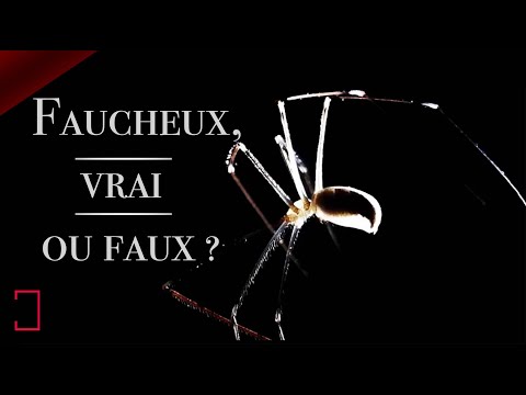 seb16120’s Video 170068640881 VHj8wIueqJc