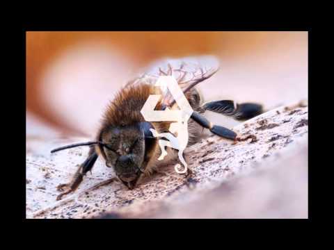 Seeed vs. Cro vs. Fugees vs. Bob Marley - EasyBling [MashMike]