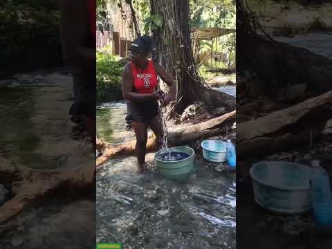 GUESS WHERE ADASA IS GOING TODAY 