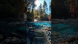 Download lagu Masyaalloh Perjuangan KH. Abdurrahman Chudlori Untuk Anak-anaknya🥺 mp3 Download lagu Masyaalloh Perjuangan KH. Abdurrahman Chudlori Untuk Anak-anaknya🥺 mp3