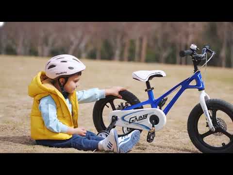 Велосипед RoyalBaby Galaxy Fleet Plus MG 18 синий (RB18-27-BLU)