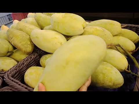 BIG SIZE MANGO// SEACON BANGKAE