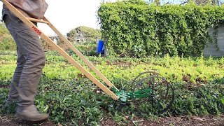 Redoing Market Garden Beds: Prep | Amend | Replant