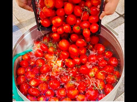 Easy Tomato Paste Recipe with Long Shelf Life | Magic Food Seasoning | Tomato paste