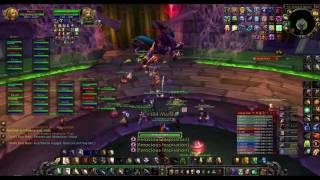 Anub'Rekhan 25 Man - Holy Paladin (AskWOWGo.com)