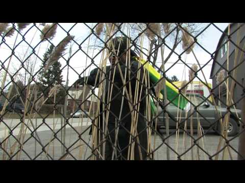 Messenjah - We've Had It