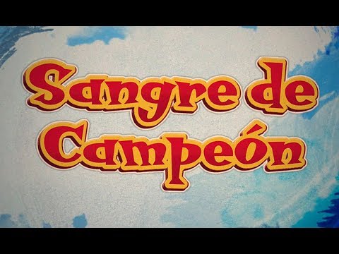Sangre de Campeón - Book Trailer - Carlos Cuauhtémoc Sánchez