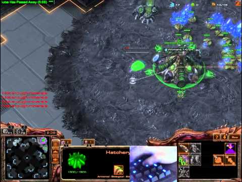 NewBreed vs Druiddroid ZvZ 2014-7-14