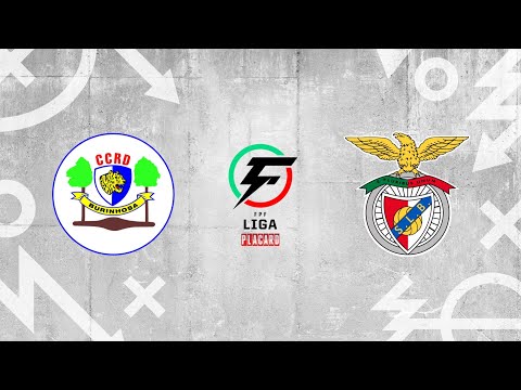 Liga Placard, 6ª jorn.: Burinhosa 0-2 SL Benfica