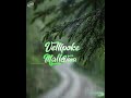 Rain Whatsapp Status