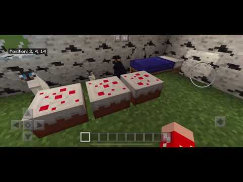 Talking Kitty Cat #8 - The new house