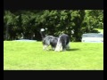 Playtime For Diesel Dizzy Wmv