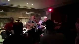 The Orchids - Caveman