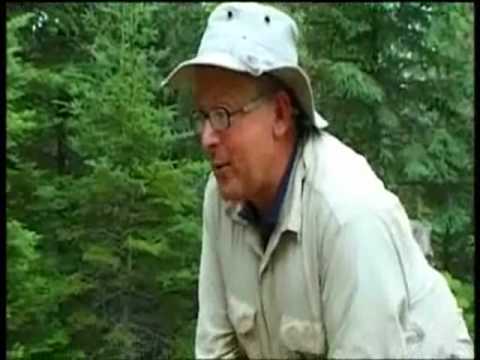Canoe Journey Ray Mears Bushcraft S2E2 part 5