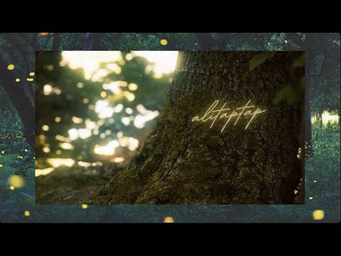 Matt Wilson video