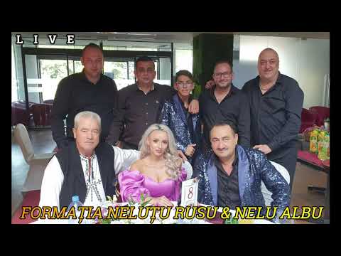 NELU ALBU &  NELUȚU RUSU ÎNVÂRTITE_HAȚEGANE_JIENE & SÂRBE_NUNTA REST RAMADA 2021