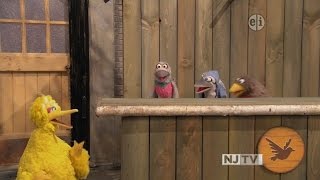 Sesame Street - The Good Birds Club (2011)