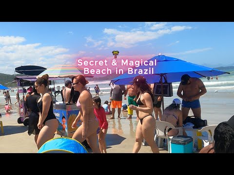 🇧🇷 Toninhas Beach, a Secret and Magical Place — NORTH COAST, BRAZIL 🌴【4K UHD | 60 FPS View】