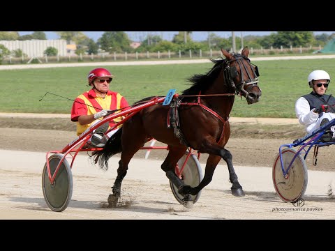 Kasačke trke Sombor - 1. trka - "Konjički klub Vojvođanin-Sombor”