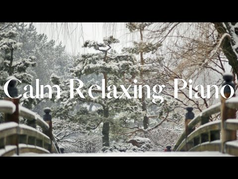 Japanese Winter Ambient Sounds with Flute, Piano, Koto Music in Background for Relaxation and Calm