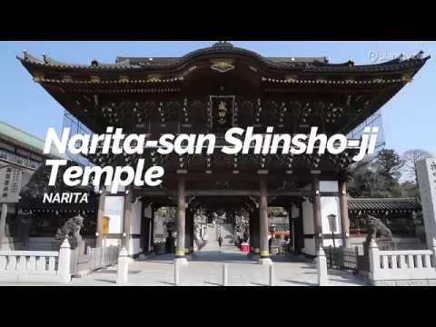 Narita-san Shinsho-ji Temple,Narita | Japan Travel Guide