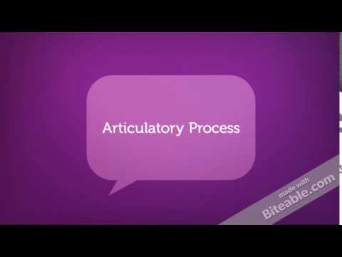 Articulatory Process
