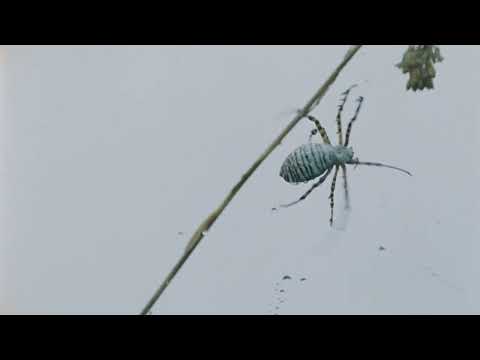 Matt Champion - Aren't You Excited