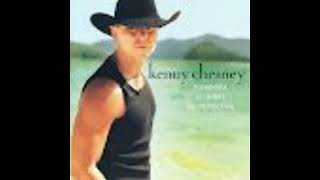 Kenny Chesney One Step Up   Dana's Garage Music Singles