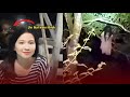 Serem Nih ️Ternyata Begini Muka Jin Dan Penampakan Sundel Bolong Saat Terekam Di Kamera