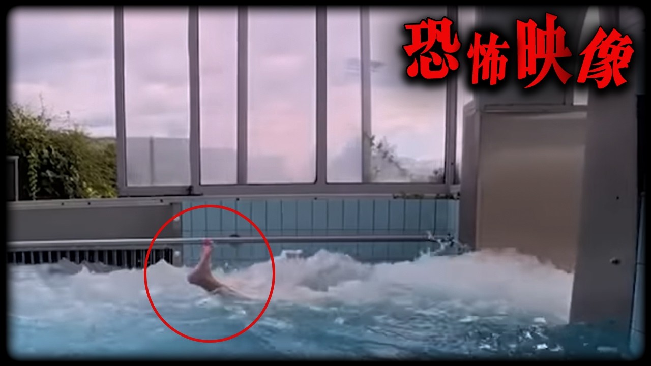 【恐怖映像】電車の中にいた人　SNSで話題の怖い映像　心霊映像