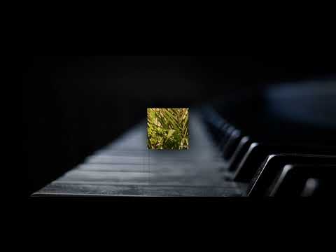 Marek Kacprowicz - Courage