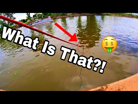 Crazy Lucky Day While Magnet Fishing! This River Is Loaded!