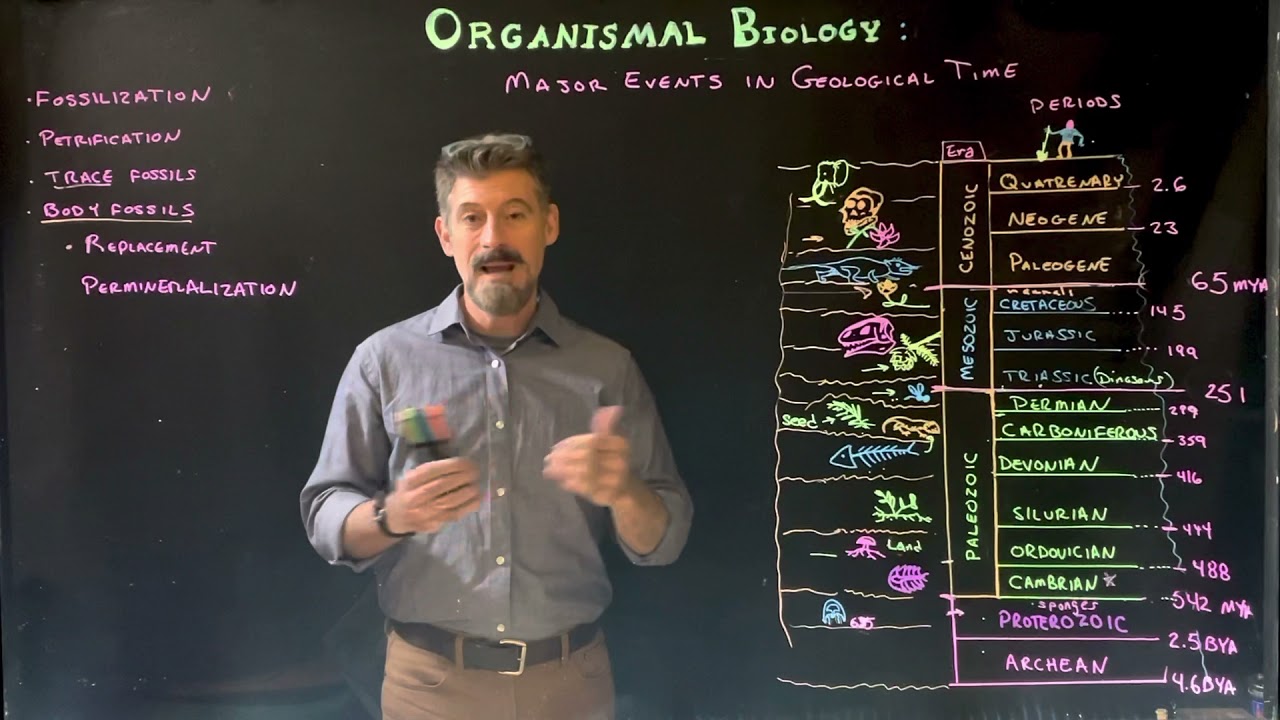 Tour through Events in Geological Time