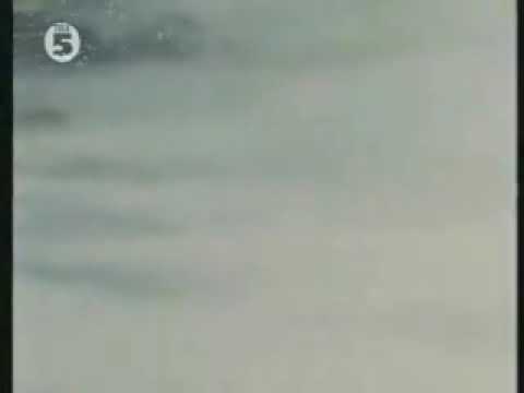 Klassiker der 80er Jahre/Grimms Märchen 10 - 13 Schneewittchen