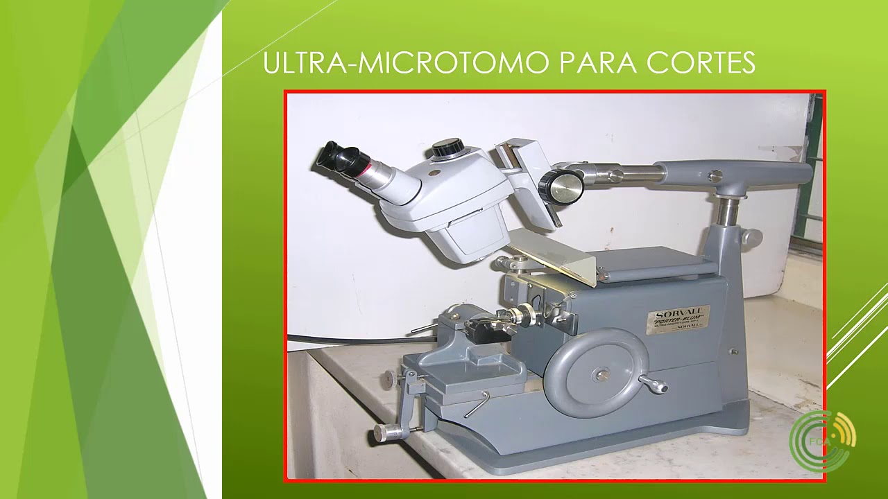Microscopia electrónica