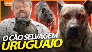 Miniatura do vídeo
