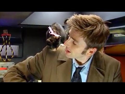 afbeelding AWW! David Tennant & A Basket of Kittens | Doctor Who Confidential Series 3