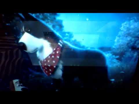 Finding Handles Part 16 The Filter