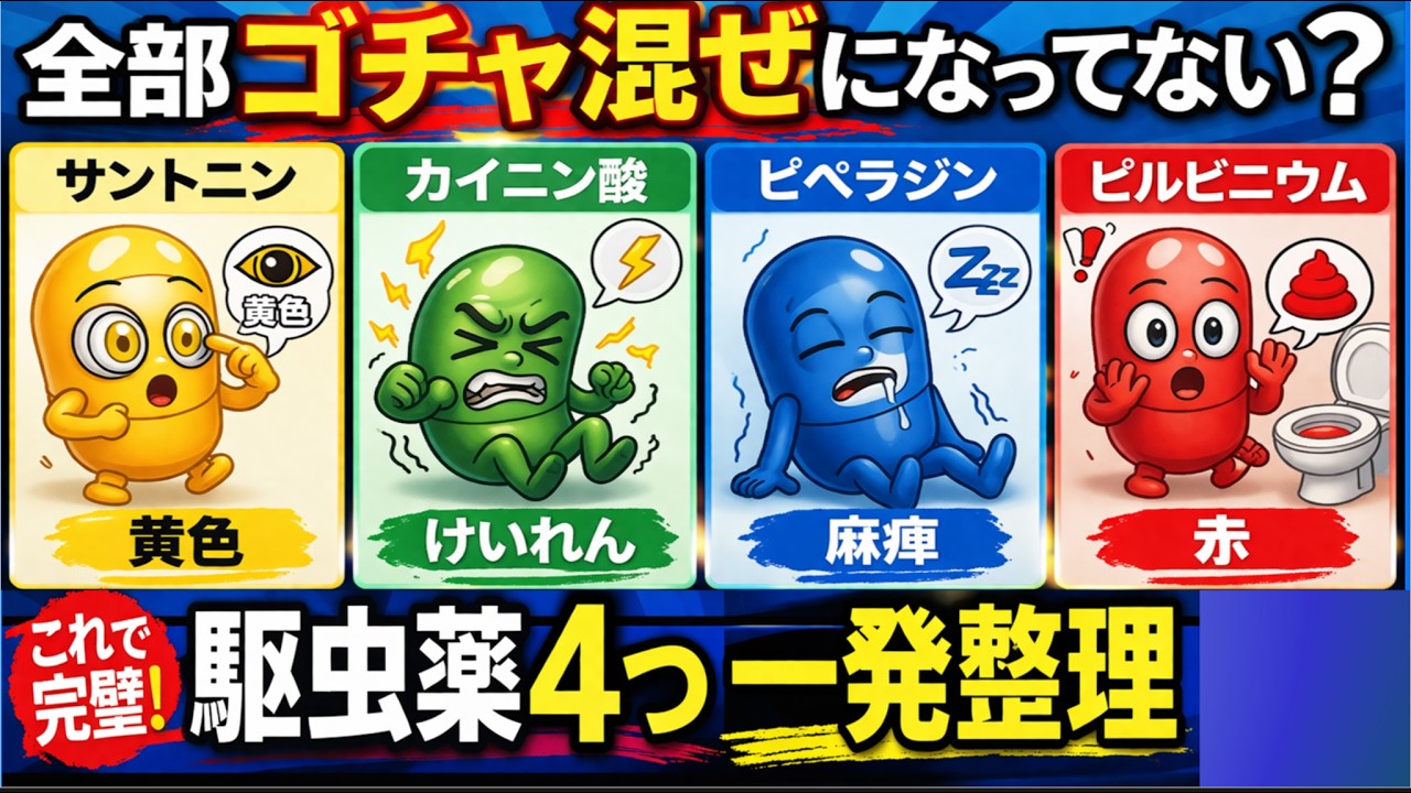 登録販売者 第３章【駆虫薬】めちゃ出るシリーズ ㊺ プルメリア流　試験対策講座