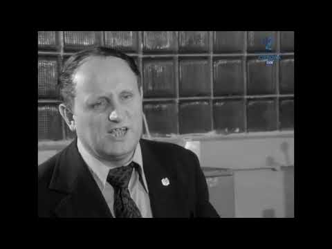 Wynalazki i konstrukcje - "Budowa mostów"