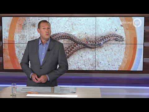 GLD Nieuws 21 augustus 2019 - Woensdag 21 augustus