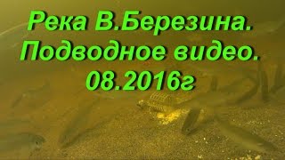 Спорт фидер кормушки