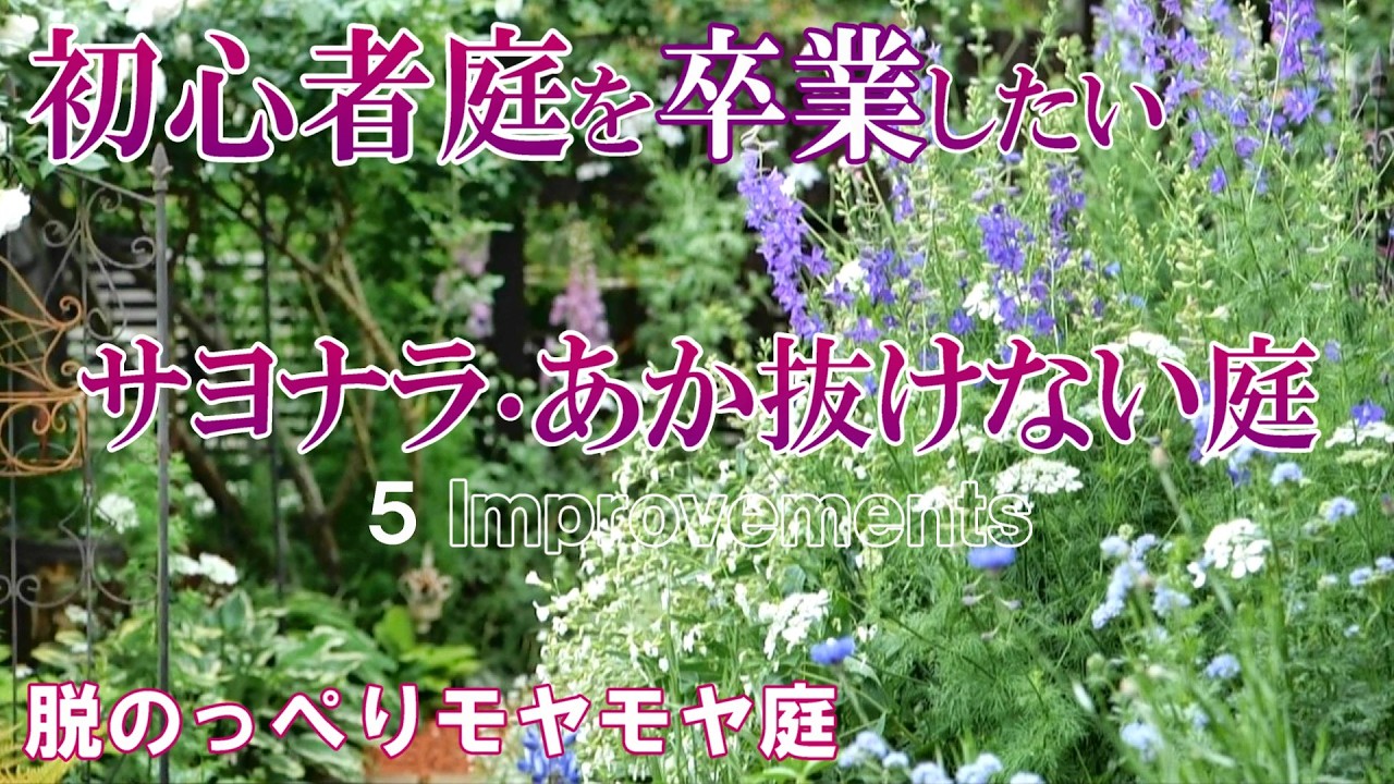 【脱・初心者庭】コレをして、垢抜けない庭から卒業しよう｜モヤモヤした庭とサヨナラ｜ガーデニング