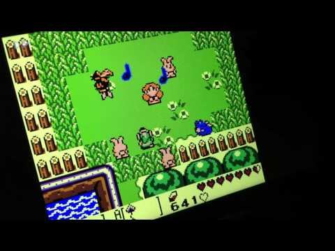Marin Singing in Animal Village - Link's Awakening 4K