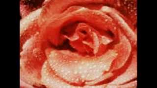 RESPLANDOR DE AMOR...CAMILO SESTO