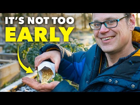 Smart Gardeners Sow These Seeds in February