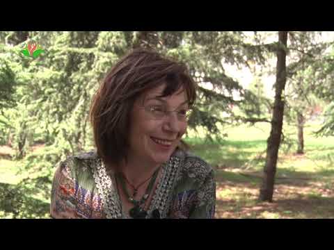 PANAKEJA - 11. EPIZODA (dr Gordana Gemović, reiki metoda)