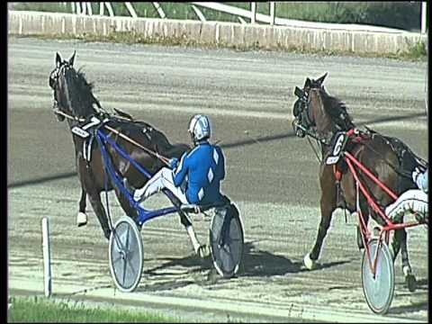 Trotto 10/04/2016 - 5° Corsa