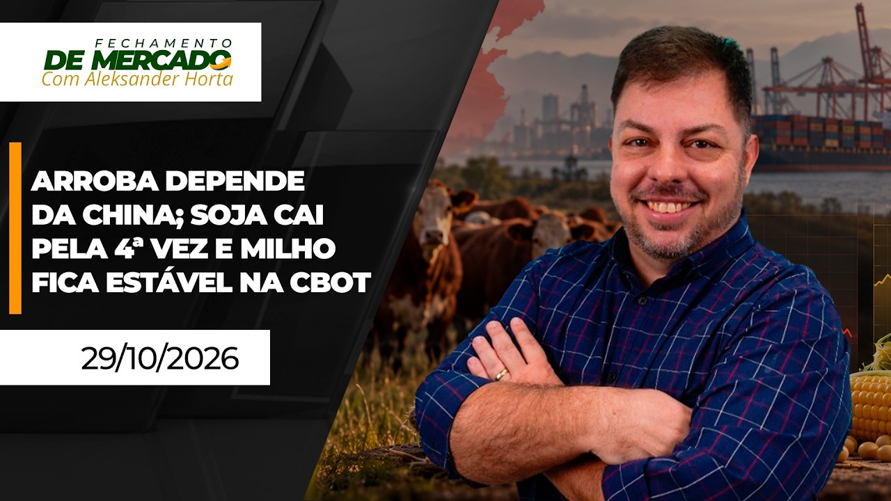 FECHAMENTO DE MERCADO - Avanço da arroba depende da China, soja tem quarta queda seguida e milho...